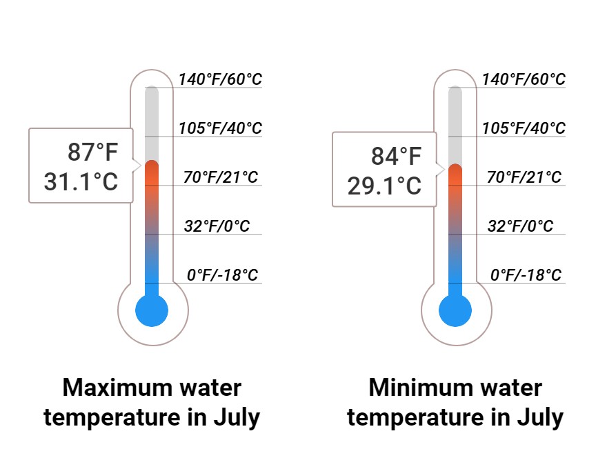 Average Sea temperature